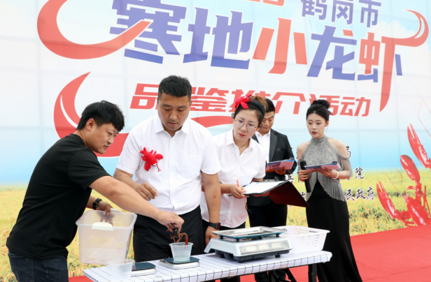 虾的个头, stron, 虾苗才肯